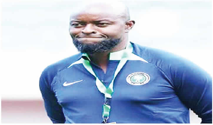 Super Eagles