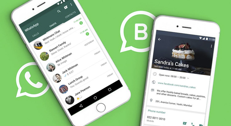 whatsapp username